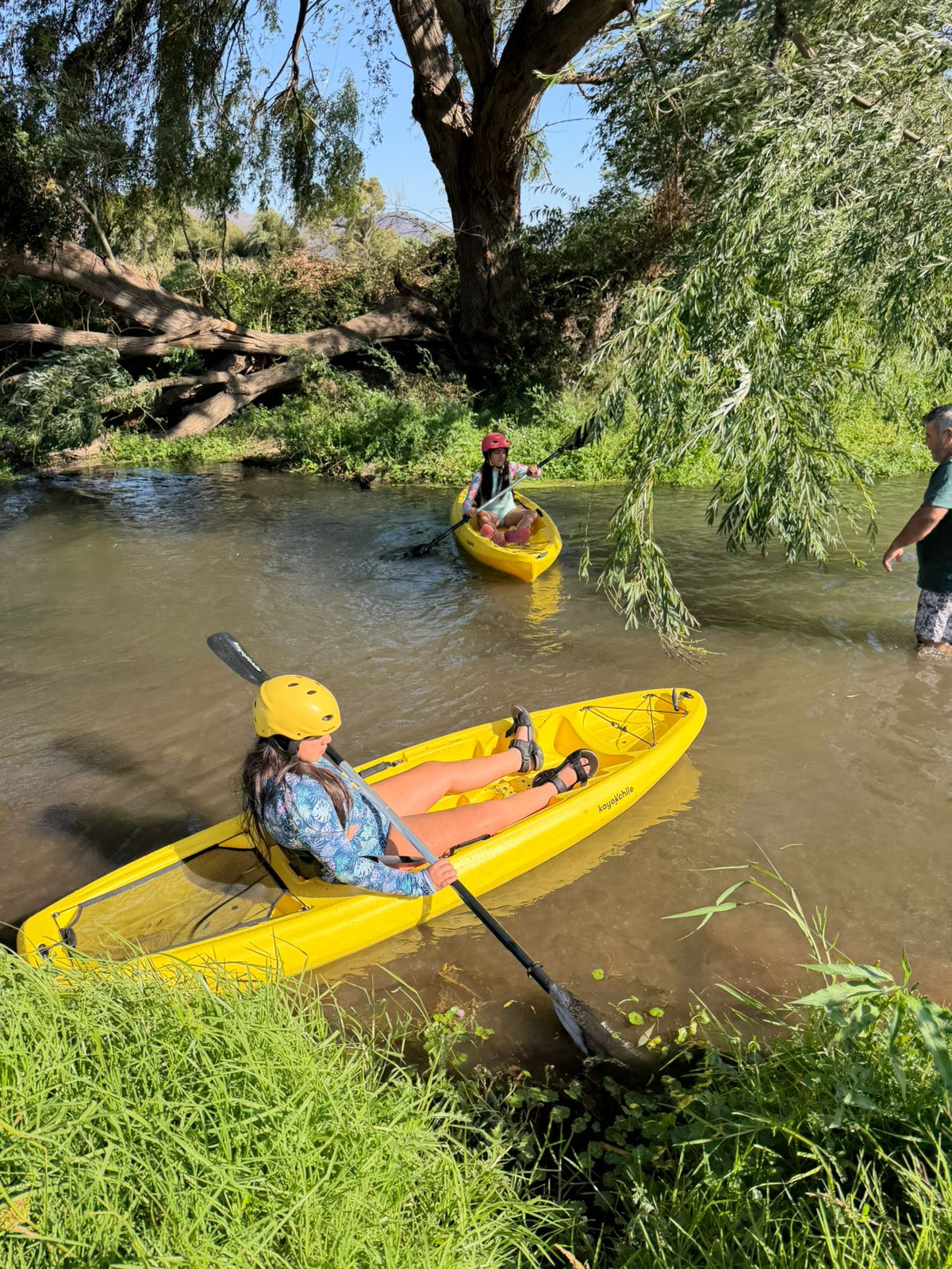 Camping El Sauce - Foto 6