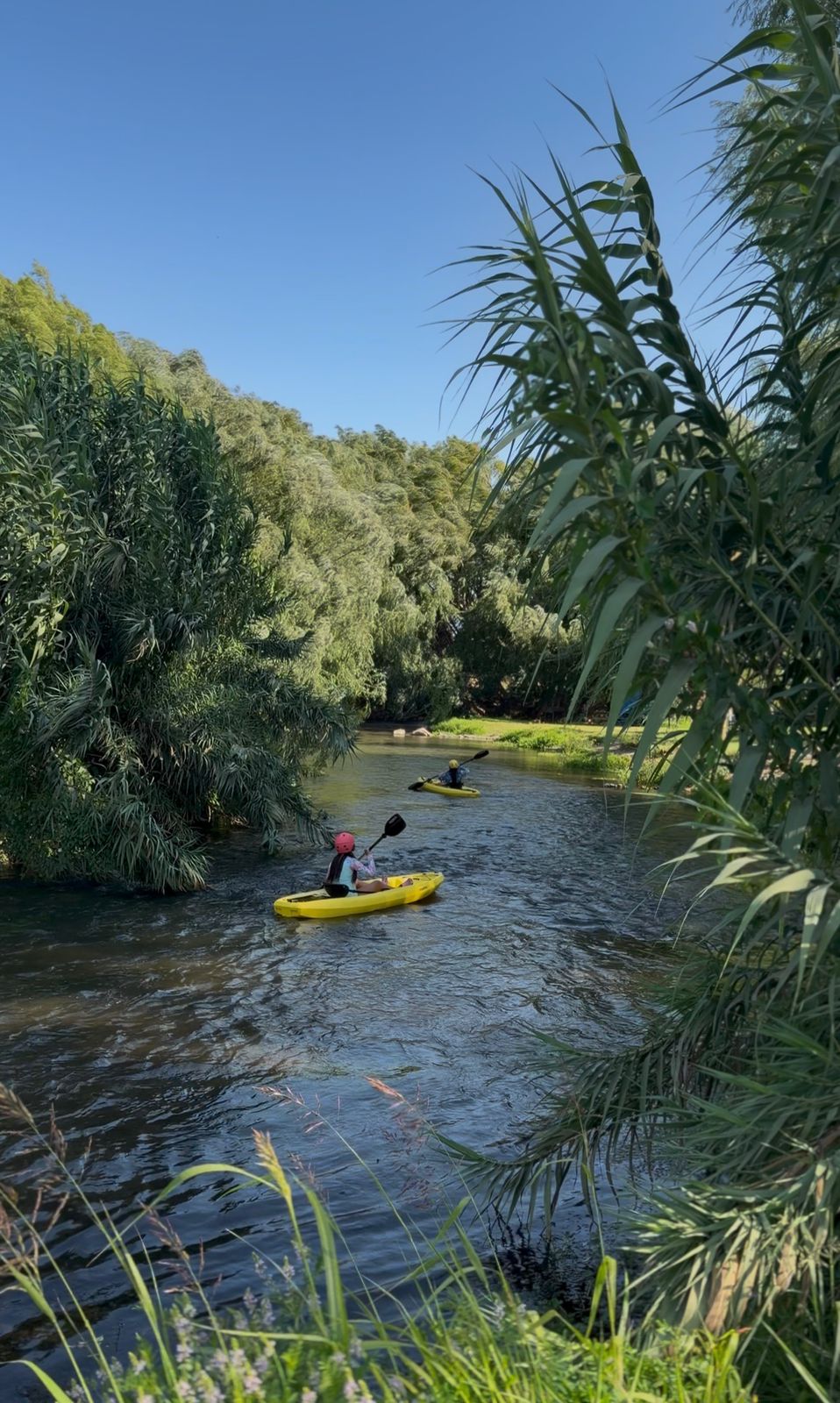 Camping El Sauce - Foto 7